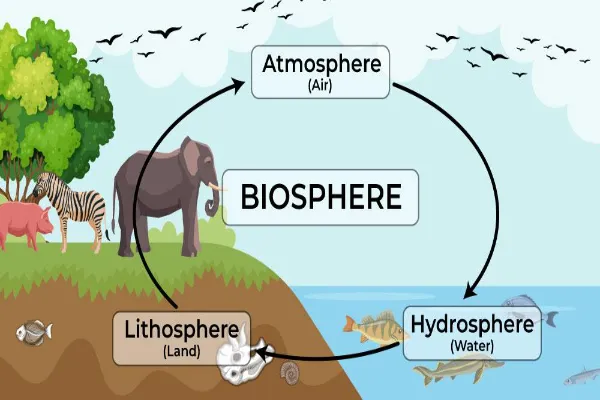 Interesting Facts About Earths Biosphere
