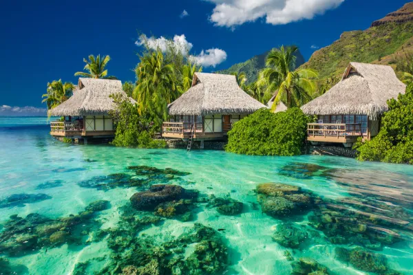 Interesting Facts About Fiji
