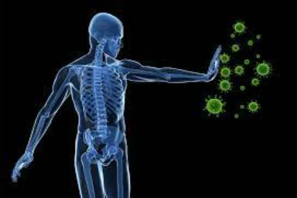 Interesting Facts About Humans Immune System