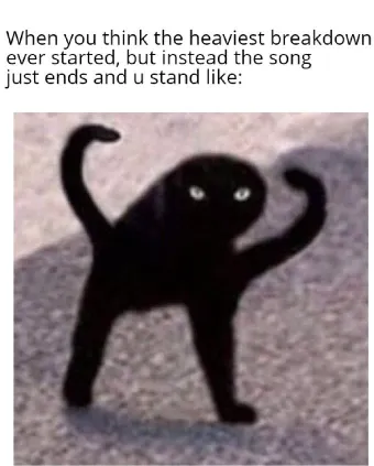 cursed black cat images