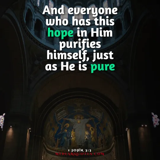 And everyone who has this hope in Him purifies himself, just as He is pure  |  1 John 3:3