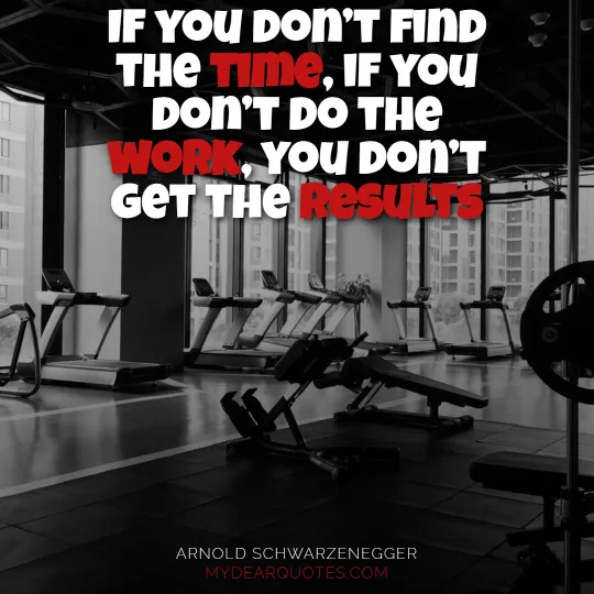 If you don’t find the time, if you don’t do the work, you don’t get the results  |  Arnold Schwarzenegger