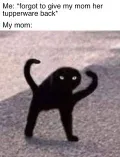 cursed black cat meme